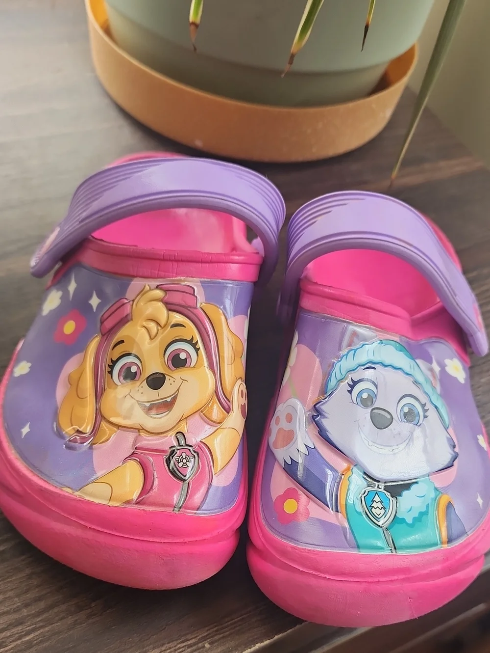Paw Patrol Pink & Purple Kids Clogs - Skye & Everest